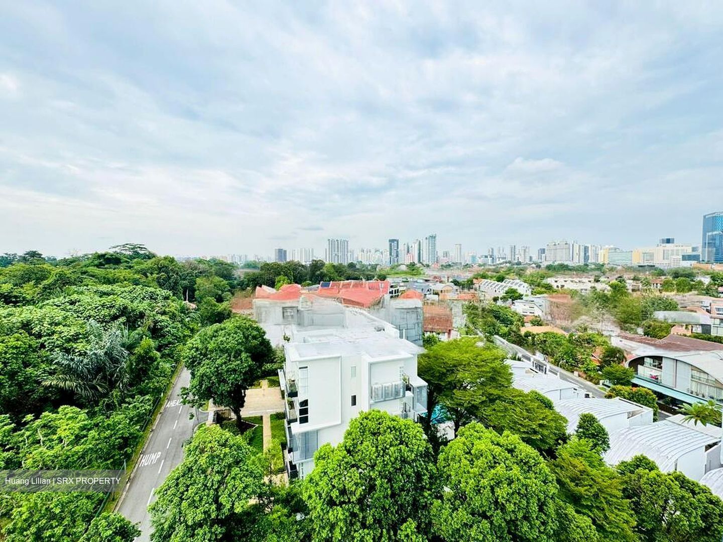 Goldhill Towers (D11), Apartment #484740091